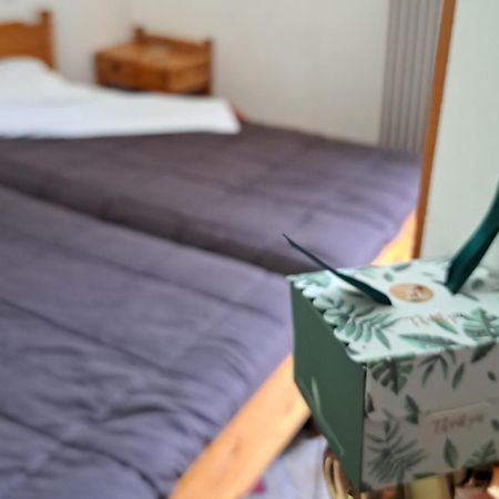 Apollon Inn Αράχωβα Δωμάτιο φωτογραφία